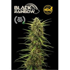 Black Rainbow Auto, Фасовка: 1